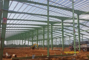 ALBUM NHÀ TIỀN CHẾ